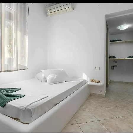 Cozy Andree * Pachaina