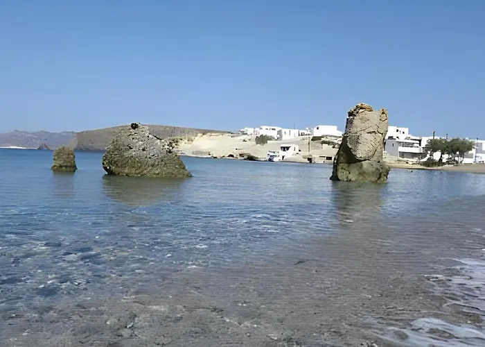 Cozy Andree Pachaina