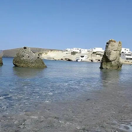 Cozy Andree Pachaina