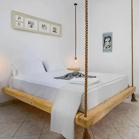 Cozy Andree * Pachaina