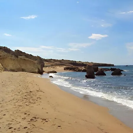 Daire Cozy Andree Pachaina