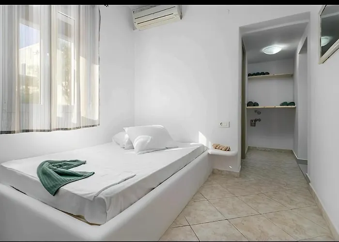 Cozy Andree * Pachaina