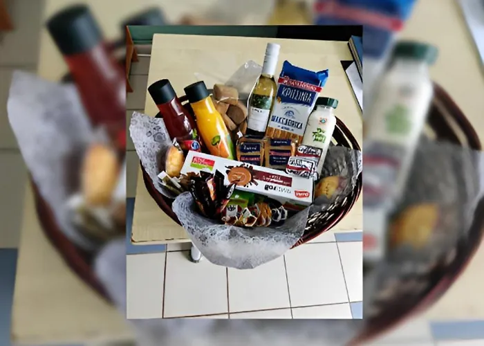 Cozy Andree * Pachaina